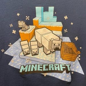 Minecraft Youth XXL (18), Short Sleeve Blue T-Shirt. Mojang Studios
